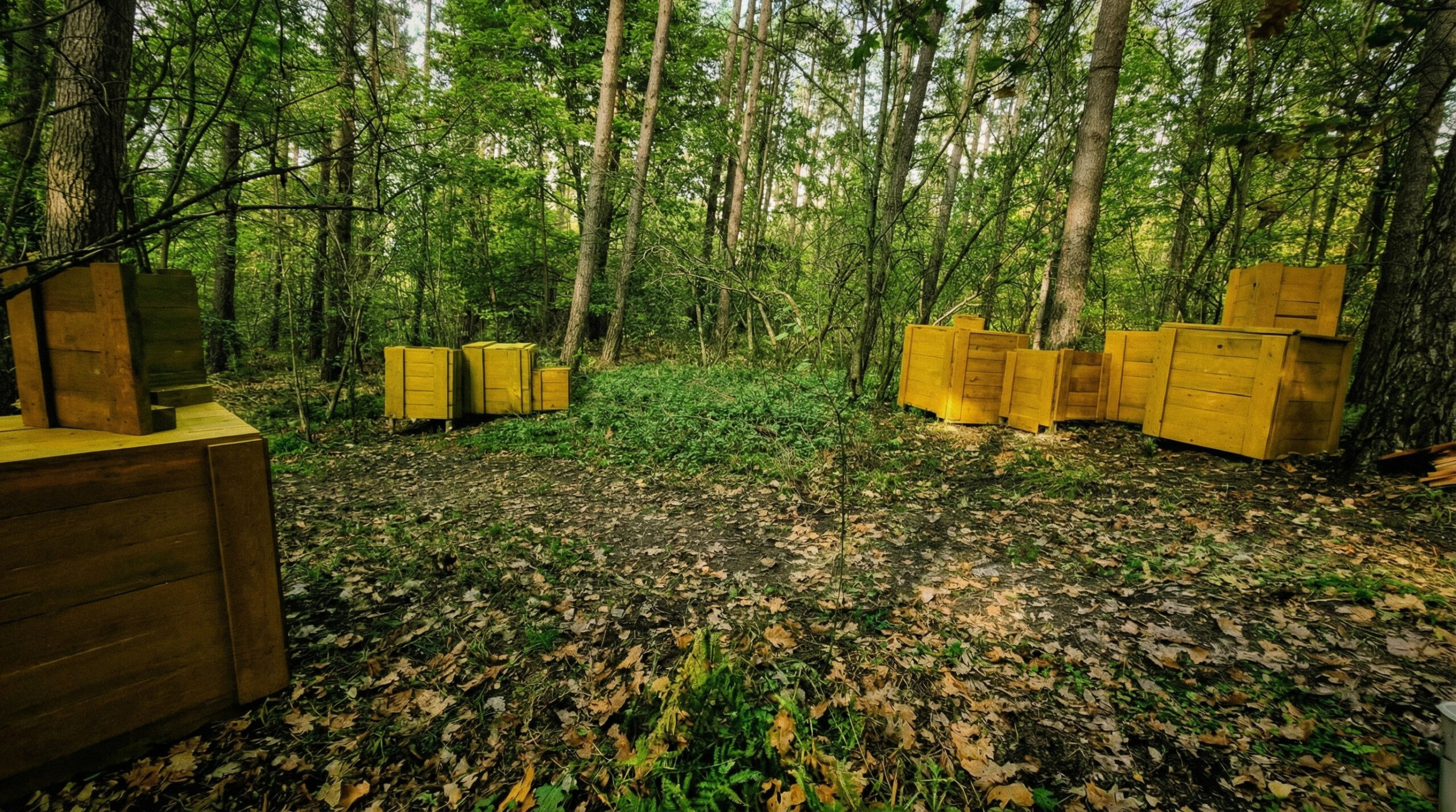 Go Paintball Adventure Park Jungle Trail Galerie 0015