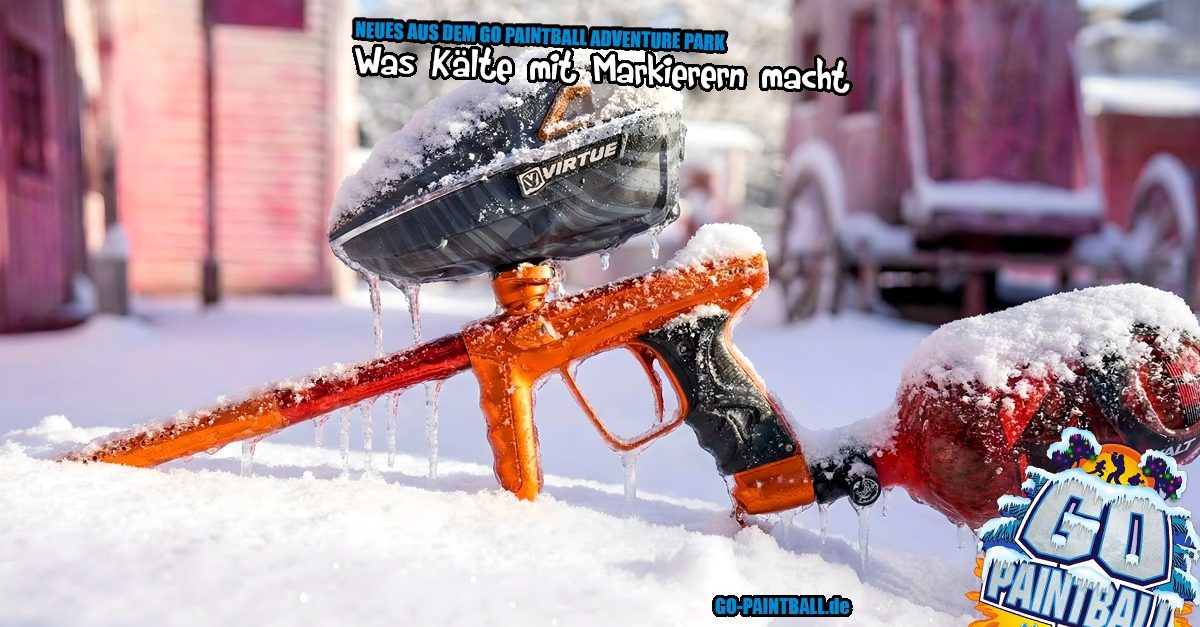 04_nadp_022026_1200x627.fw