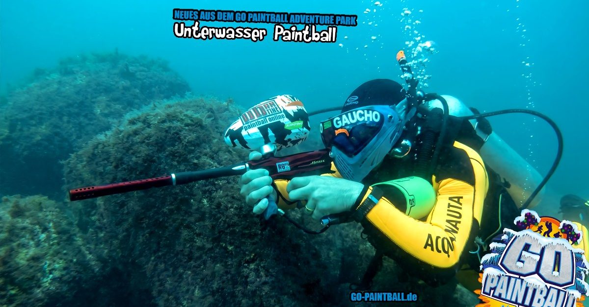 06_nadp_022026_1200x627.fw