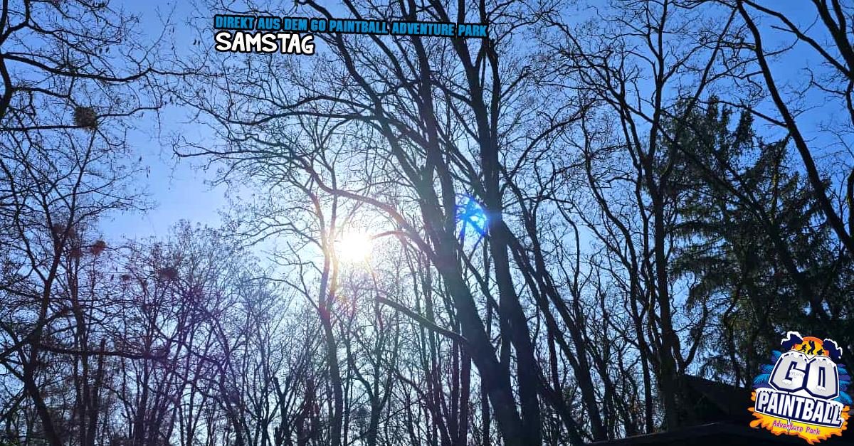 092_dap_022024_1200x627.fw