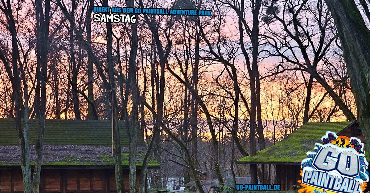 100_dap_122024_1200x627.fw