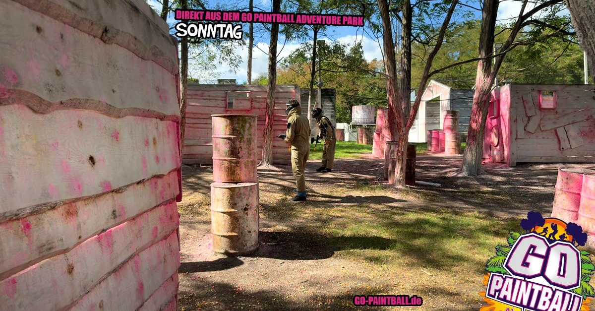 128_dap_082025_1200x627.fw