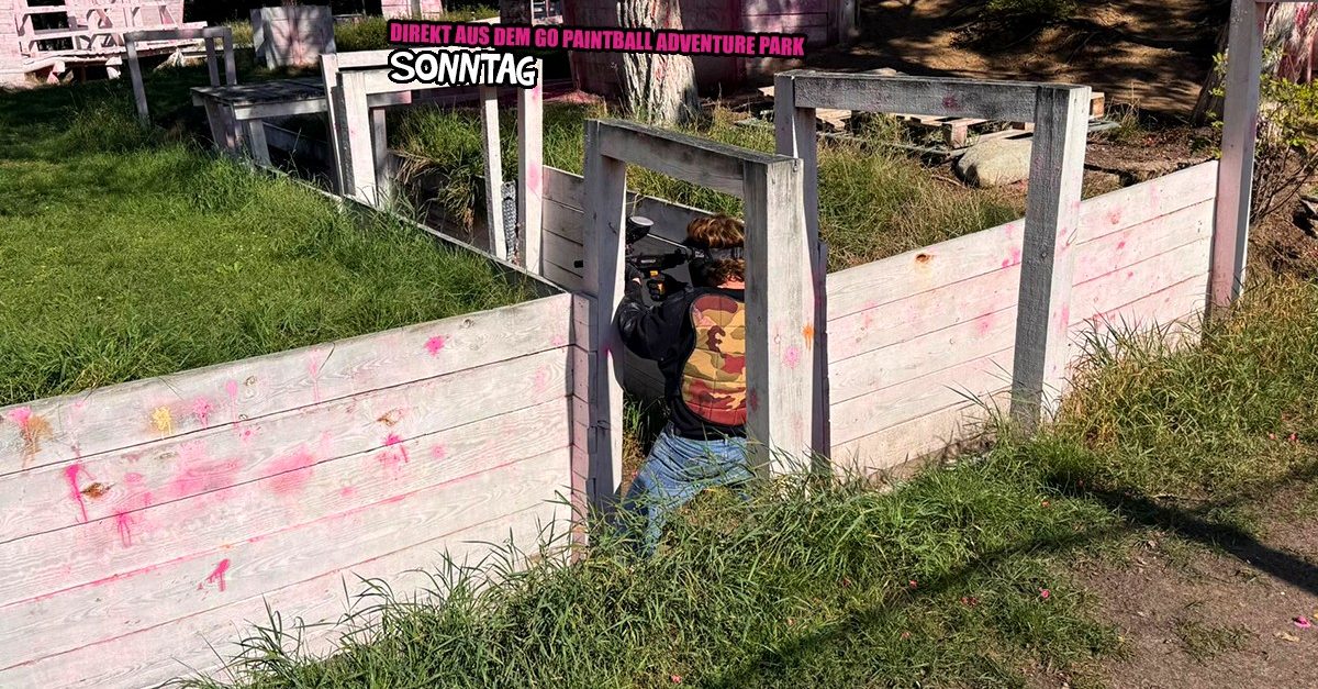 161_dap_082025_1200x627.fw