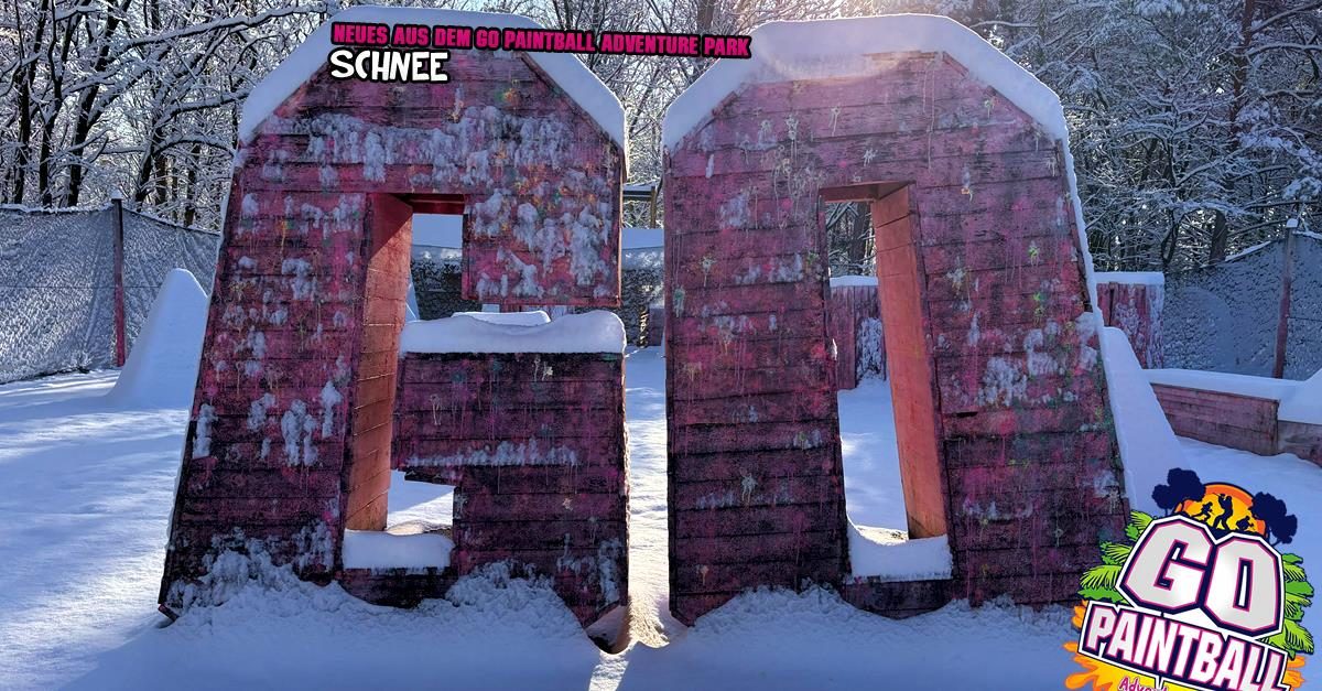 26_nadp_022025_1200x627.fw